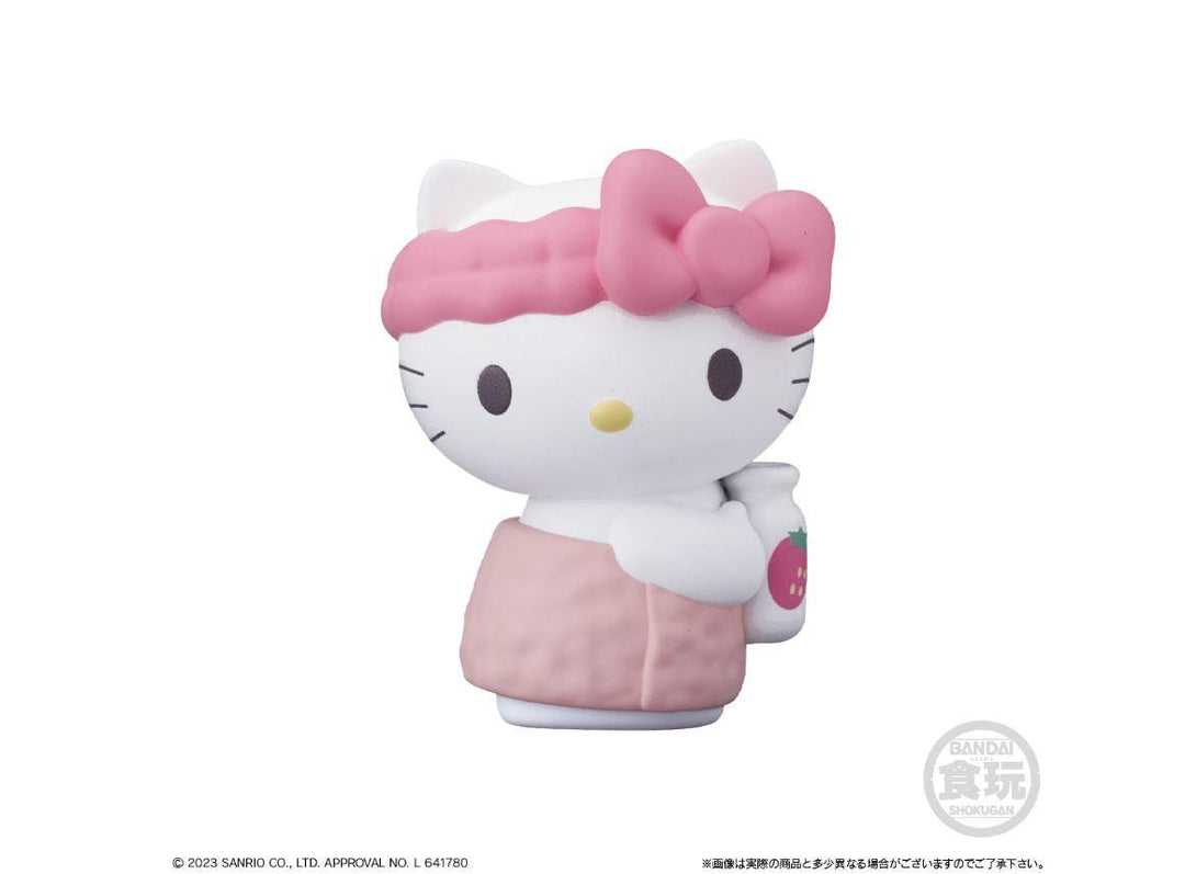 SANRIO CHARACTERS FRIENDS 2 BLIND BOX SERIES - Bubble Wrapp Toys