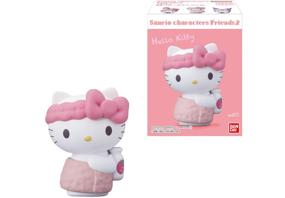 SANRIO CHARACTERS FRIENDS 2 BLIND BOX SERIES - Bubble Wrapp Toys